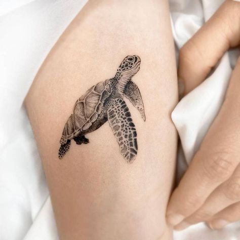 Animal Tattoo Meanings, Small Tattoo Ideas For Men, Tattoo Turtle, Beautiful Back Tattoos, Nautical Tattoo Sleeve, Beachy Tattoos, Wrist Tattoos Girls, Sloth Tattoo, Shell Tattoos