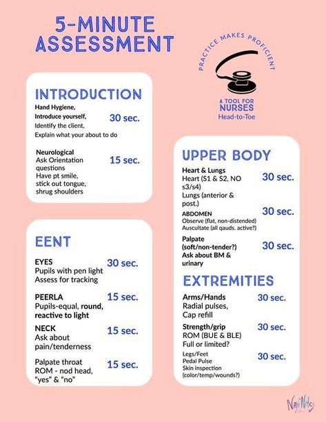 5-Minute Assessment #nursingschool #nursingstudent #study  - Image Credits: Nurse Naomi Nurse Educator, Midwifery Student, Med Surg Nursing, Nursing Assessment, Nursing School Motivation, Nurse Study Notes, Nursing Student Tips, Nursing School Survival, Fundamentals Of Nursing