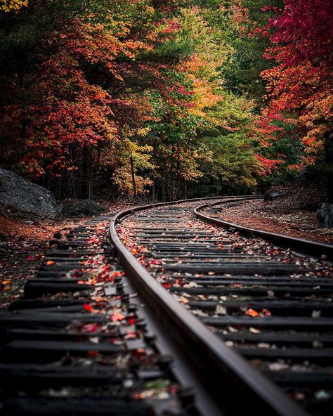 @professorhines) on Instagram: “Have you visited the @sonyalpha page to see our features from the Acadia National Park trip with…” Image Nature, National Parks Trip, Sony Alpha, Beautiful Nature Wallpaper, Train Tracks, Jolie Photo, The Train, Autumn Photography, Nature Wallpaper