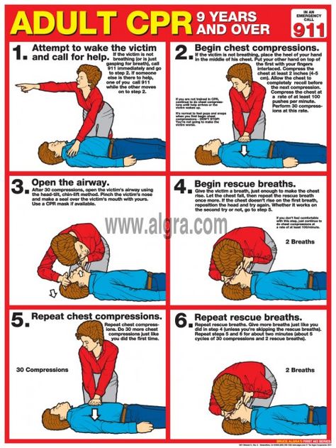 Adult CPR Study Sheets ( 9 years and over) have been updated for 2013. These Study Sheets show and explain how to perform CPR in a step by step manner. It breaks down the process into an easy to follow six step process. Cpr Poster, Cpr Instructions, First Aid Poster, How To Perform Cpr, Infant Cpr, First Aid Cpr, Cardiopulmonary Resuscitation, First Aid Tips, Cpr Training