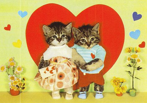 Love Kittens Cats In Clothes, Daughter Songs, Song Ideas, Dad Daughter, I Love My Wife, Silly Cats, Litter Box, Loving U, Cool Cats