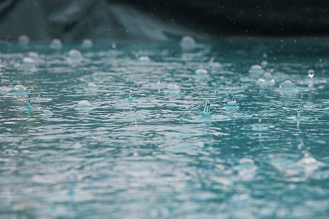 Rain drops | HD photo by Inge Maria (@ingemusic) on Unsplash Time Lapse Photography, Drops Of Water, Ocean Mist, Rainwater Harvesting, Falling From The Sky, Clipuri Video, When It Rains, Rain Drops, Water Drops