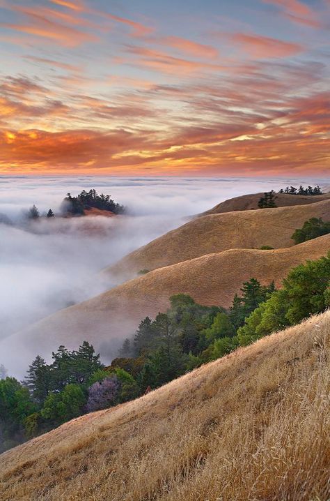 Mt Tamalpais, just north of SF, cool country! Absolutely gorgeous! Mt Tamalpais, Mount Tamalpais, Marin County, Bay View, San Francisco Bay Area, California Travel, Beautiful World, Photography Tips, Beautiful Images