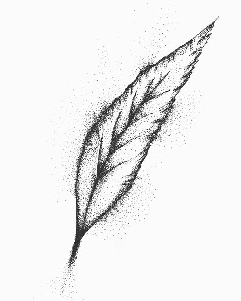 Animal Dotwork Tattoo, Ink Dot Art, Dot Drawing Sketches, Feather Sketch, Pointalism Art, Dot Leaf, Dotted Drawings, Z Tattoo, Eye Expressions