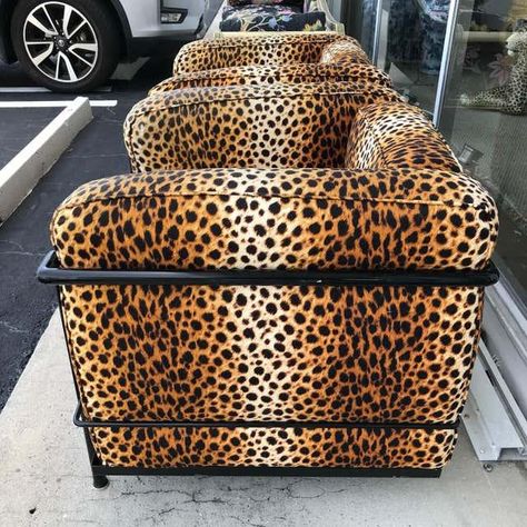 Dramatic faux leopard upholstered chairs in a metal framework. Visually staning and built for comfort. Teenage Boy Room, Future Apartment Decor, Dream Furniture, Printed Chair, Glam Room, Art Deco Home, Apartment Decor Inspiration, Apartment Inspiration, Room Ideas Bedroom