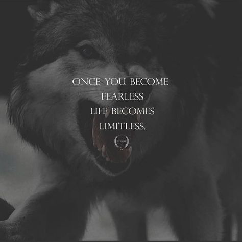 Werewolf Quotes, Wolf Pack Quotes, Outdoors Tattoos, Lone Wolf Quotes, Tattoos Animals, Wolf Wallpaper Hd, Neon Wolf, Neon Wallpapers, Wolf Quotes