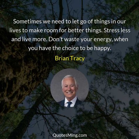 Brian Tracy Quotes, Let Go Of Things, Michel De Montaigne, Arthur Schopenhauer, Brian Tracy, Lifelong Learning, Inspirational Humor, Jack Kerouac, Better Things