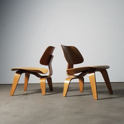 For sale: Eames LCW Bent plywood chairs produced by Herman Miller, 1950-1954 | #vntg #vintage Eames Plywood Chair, Eames Lcw, Bent Plywood Chair, Hide Greys, Bent Plywood, Plywood Chair, Charles & Ray Eames, Charles Eames, Plywood Furniture