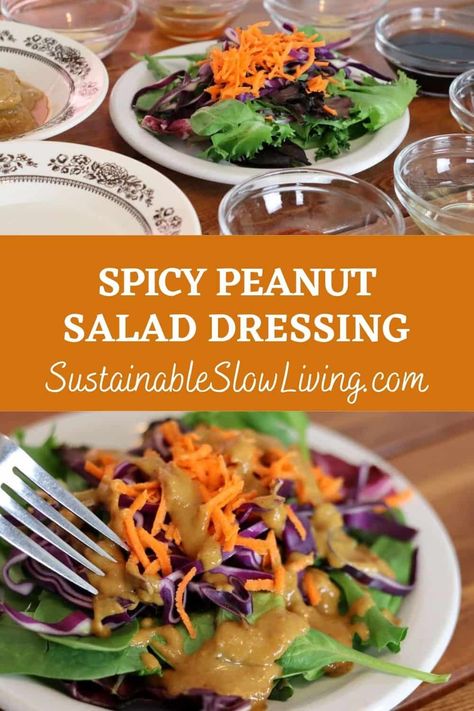 That spicy peanut salad dressing that they put on your starter salads at Thai restaurants is crazy easy to make. AND it’s so darn good! Spicy Peanut Dressing Recipe, Spicy Thai Peanut Dressing, Spicy Asian Dressing Recipes, Evil Peanut Dressing, Peanut Thai Dressing, Asian Peanut Salad Dressing, Peanut Vinaigrette Dressing, Spicy Peanut Vinaigrette Recipe, Peanut Dressing Thai