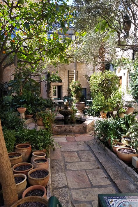 Outdoor Courtyard Ideas, Vege Garden Design, Spanish Terrace, Plant Station, French Country Landscape, Cloister Garden, Spanish Finca, Mexican Courtyard, Italian Courtyard