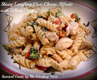 Chicken Alfredo Recipe: Healthier Alternatives with Spaghetti Squash & Wheat Pasta Laughing Cow Alfredo Sauce, Laughing Cow Alfredo, Creamy Chicken Pasta Bake, Healthy Fettuccine Alfredo, Healthy Chicken Alfredo, Chicken Alfredo Recipe, Fettuccine Alfredo Recipes, Healthier Alternatives, Chicken Alfredo Recipes