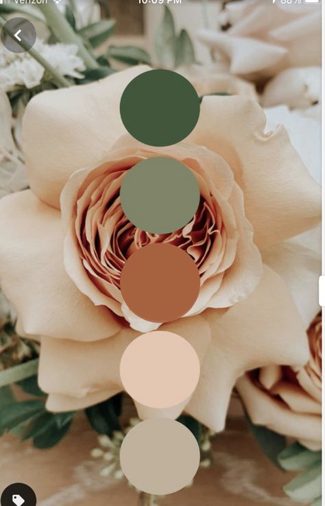 Pastel Color Scheme Colour Palettes, White Beige Gold Color Palette, Desert Spring Wedding, Desert Coral Wedding Color Scheme, Greenhouse Wedding Color Palette, Arizona Wedding Colors, Desert Pink Color Palette, Boho Wedding Color Schemes Summer, Floral Color Palette Colour Schemes