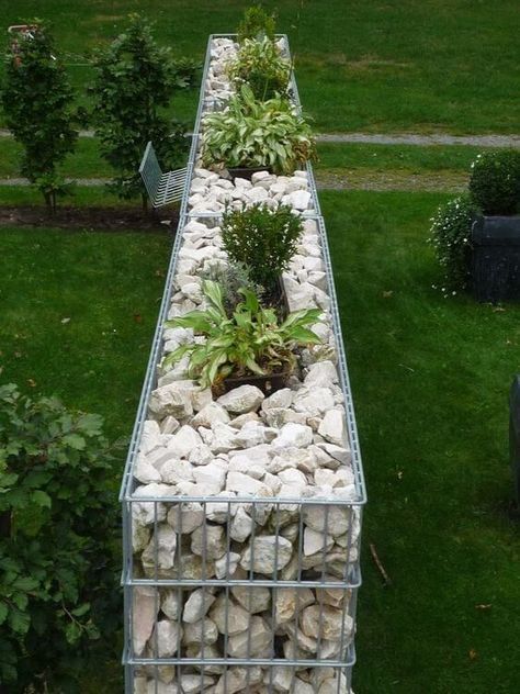 Gabion Wall Design, Plastic Garden Fencing, Gabion Retaining Wall, Gabion Wall, Vertical Garden Diy, Garden Types, Outdoor Gardens Design, Fence Design, Garden Fence