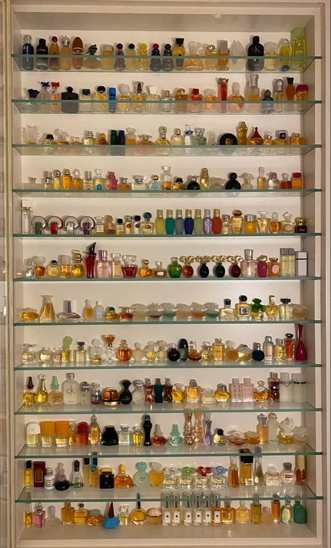 Perfume Collection Display, Aesthetic Perfume, Perfume Organizer, Perfume Aesthetic, Perfume Display, Organizer Ideas, Perfume Organization, Fragrances Perfume Woman, Perfume Body Spray