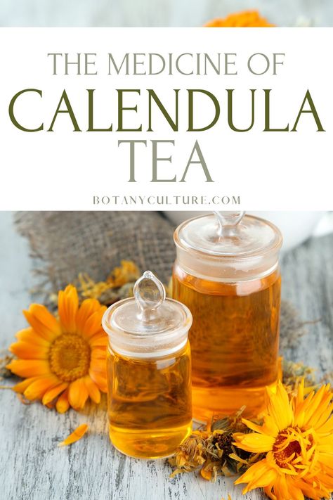 Medicinal Tea Recipes, Benefits Of Calendula, Marigold Tea, Calendula Tea, Herbal Tea Benefits, Calendula Benefits, Medicinal Tea, Healing Tea, Homemade Tea