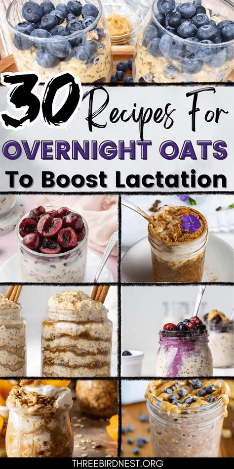 Discover a delightful array of lactation-boosting overnight oats recipes that cater to diverse tastes and dietary preferences. From the comforting blend of Apple Cinnamon to the festive joy of Birthday Cake and the indulgent fusion of Peach Cobbler, these recipes offer both convenience and flavor. Lactation recipes, Boost milk overnight, Overnight oats recipes, Overnight oats for kids, overnight oats for breastfeeding moms, boost milk in 24 hours, lactation tips. Increasing Milk Supply, Healthy Breastfeeding Snacks, Divine Recipes, Breastfeeding Hacks, Best Overnight Oats Recipe, Overnight Oats Recipes, Breastfeeding Snacks, Baby Recipes, Breastfeeding Foods