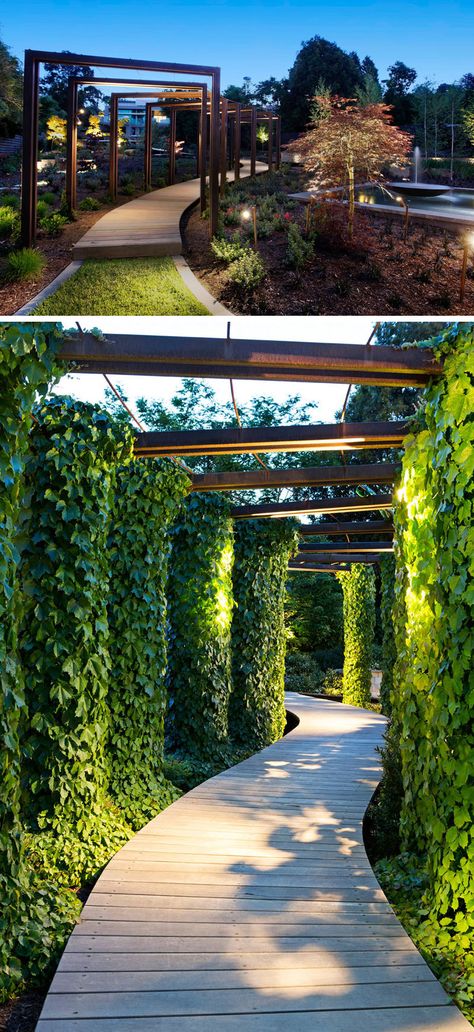 This modern wood pathway is surrounded by ivy covered arches and lit up by overhead lights. Therapy Garden, Wood Pathway, Landscape Lighting Design, Landscape Designs, Modern Backyard, Garden Pathway, Canopies, Modern Landscaping, Landscape Lighting