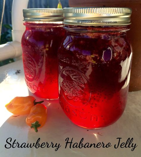 Ever since I started growing my own habanero peppers, I've been trying all kind of different recipes, but this strawberry habanero jelly ... Raspberry Habanero Jelly, Strawberry Jelly Recipe Canning, Habanero Jelly Recipe, Strawberry Jelly Recipes, Preserve Recipes, Jalapeno Jelly Recipes, Habanero Recipes, Habanero Jelly, Hot Pepper Recipes