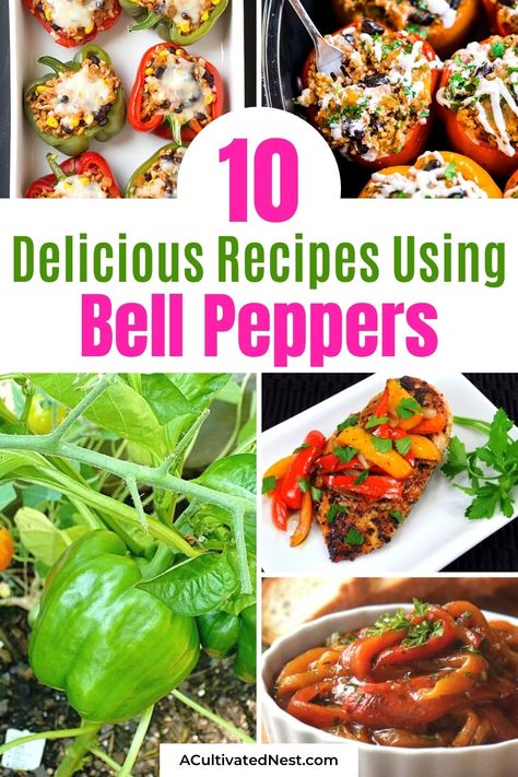 Bell Pepper Salsa Recipe, Bell Pepper Growing, Grow Bell Peppers, Red Bell Pepper Recipes, Freezing Bell Peppers, Pepper Growing, Green Pepper Recipes, Sweet Pepper Recipes, Waffle Cone Recipe