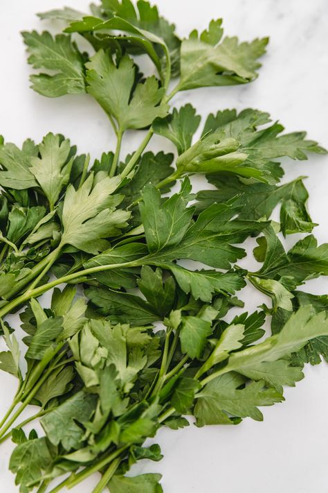 How To Dry Parsley In The Microwave - yourcookingbuddy.com Dry Herbs In Microwave, Drying Herbs In Microwave, How To Dry Parsley, Drying Parsley, Herb Preservation, Freeze Cilantro, Herbs For Inflammation, Freezing Cilantro, Herb Planting