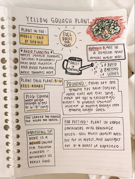 How To Plant Squash, Plant Journal Ideas, Plant Care Journal Ideas, Garden Journal Ideas, Diy Plant Care Journal, Squash Planting, Homestead Journal, Plant Journal Template, Plant Diary Template