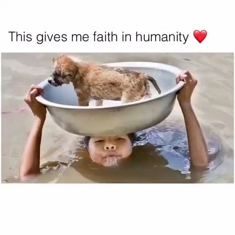 Animal Love❤️ on Instagram: “❤️❤️❤️” Saving Animals, Crying Tears, Human Kindness, Animals Amazing, Faith In Humanity Restored, Humanity Restored, Save Animals, Cute Stories, Amazing Animals