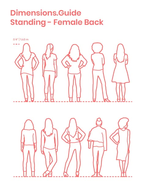 Collection of people, specifically women, standing in back profile with various resting stances and poses. The average height of this group of females is set at 5’4” | 1.63 m. Both outlined and detailed silhouettes are available. Downloads online #design #humans #people #standing Back Of People Drawings, How To Draw People From Behind, People Standing Drawing, Woman Standing Drawing, People Standing Back To Back, Person From Behind Drawing, Drawing People From Behind, Back Profile Drawing, Two People Standing