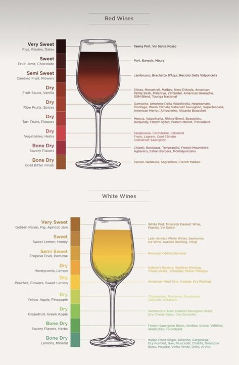 Sweet Wines For Beginners, Beer Knowledge, Types Of Wine Glasses, Wine Etiquette, Wine Basics, Wine Chart, Sweet White Wine, Wine Knowledge, Food Pairing