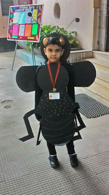 My son as mosquito Insect Fancy Dress, Ant Costume, Insect Costume, Tree Costume, Baby Summer Dresses, Fancy Dress Ideas, Classroom Idea, Baby Summer, Fancy Dress For Kids