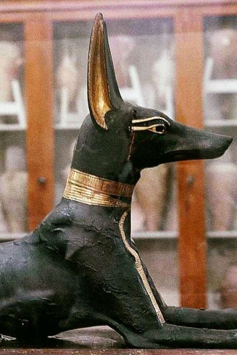 Anubis Sculpture, Cleopatra Aesthetic, Anubis Drawing, Cardboard Art Sculpture, Anubis Statue, Road Opener, House Of Anubis, Egyptian Painting, Egypt Aesthetic