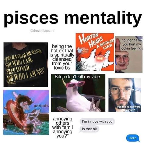 Pisces Memes Funny, Memes Funny So True, March Pisces, All About Pisces, Pisces Fish, Pisces And Aquarius, Zodiac Characters, Pisces Quotes, Astrology Pisces