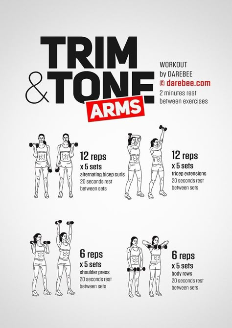 Darebee Workout, Workout Arms, Tone Arms, Tone Arms Workout, Arm Workout Women, Arms Workout, Musa Fitness, Arm Exercises, Yoga Iyengar