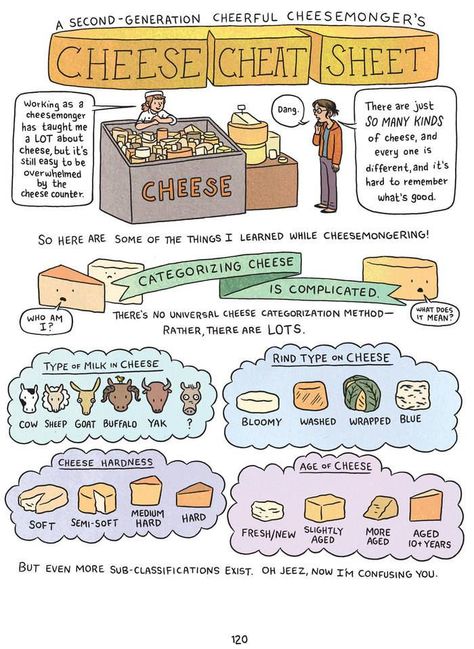 good to know when pairing Lucy Knisley, Notebook Idea, Food Technologist, Small Holding, Pretzel Crust, Kinds Of Cheese, Cheese Making, Crust Pizza, Chicago Food