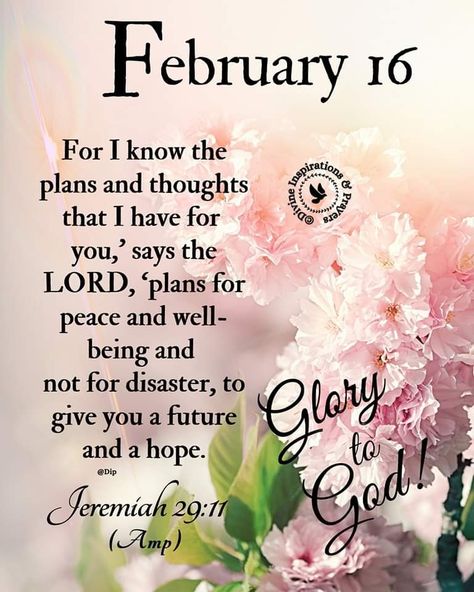 February Blessings, Divine Inspiration And Prayers, February Images, Welcome February, Good Morning Happy Sunday, Daily Word, I Know The Plans, Good Morning Happy, Verse Of The Day