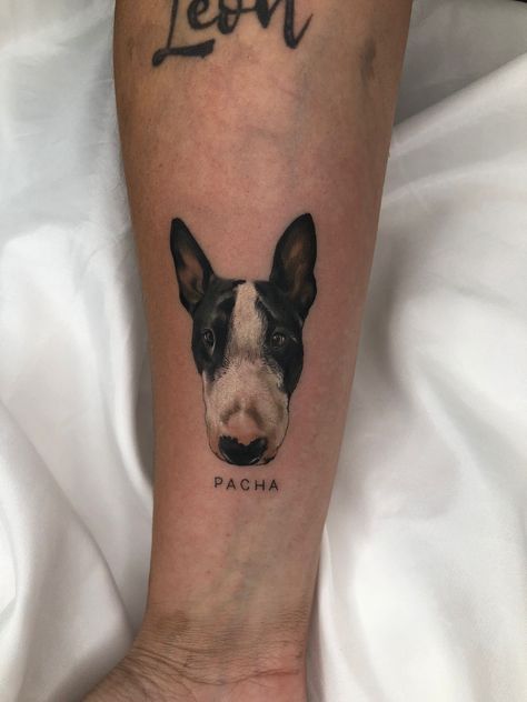 Tattoo
Bull terrier
Microrealismo Bull Terrier Tattoo, Terrier Tattoo, Bull Terrier, I Tattoo, Tatting, My Style, Tattoos, Argentina