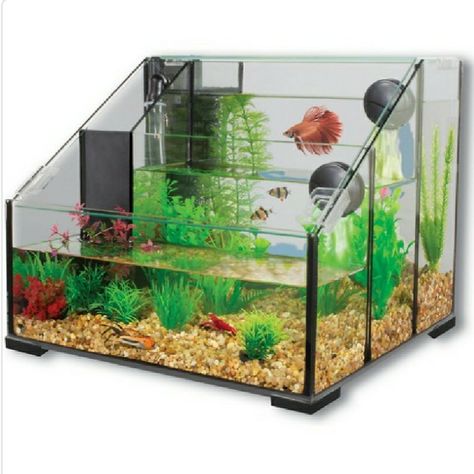 Cool Fish Tank Decorations, Turtle Tank Setup, Aqua Nursery, Aquarium Setup, Diy Tank, Turtle Tank, Aquascape Aquarium, Betta Fish Tank, Aquarium Design