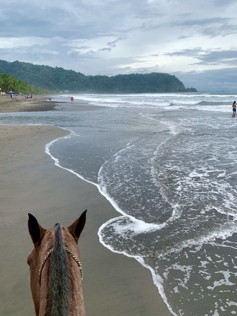 Horse-back riding on the beach/ in the mountains of Jaco beach, Costa Rica Costa Rica Horseback Riding, Jaco Beach Costa Rica, Horse Back Riding, Costa Rica Beaches, Jaco, In The Mountains, Horseback Riding, Horse Riding, Costa Rica