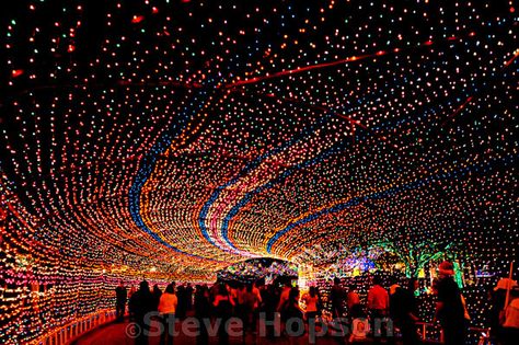 Trail of Lights, Austin Texas    Austin's annual Trail of Lights in Zilker Park, Austin Texas, December 19, 2008. Named one of the Top Ten Holiday Lightings by USA Today, the Trail of Lights Festival has been held annually since 1965. Trail Of Lights, Texas Adventure, Zilker Park, Texas Places, Light Trails, Texas Travel, The Grove, Hill Country, Travel Bucket