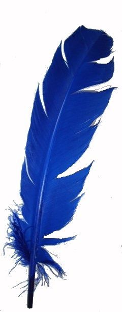 Behind Blue Eyes, Im Blue, Kind Of Blue, Blue Inspiration, Clear Lake, Feather Art, Pattern Texture, Blue Feather, Feeling Blue