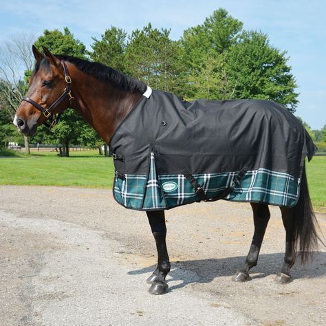 The Calgary 1200 Denier Turnout Blanket by Country Pride is an excellent choice for keeping you horse dry and cozy! Soft nylon lining, fleece wither protection and the choice between a no-fill rainsheet or 300gm blanket! Turnout Blanket, Horse Fashion, Calgary, Stay Warm, Insulation, Horses, Animals