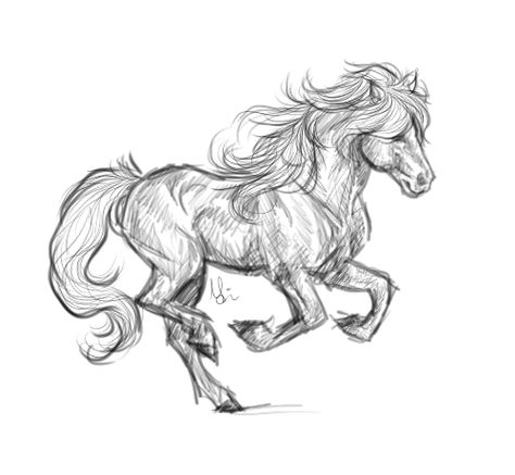 Icelandic Horse Drawing, Equine Art Abstract, Equine Art Pencil Drawings, Equine Art Paintings, Equine Artwork, Horse Art Drawing, Icelandic Horses, Pencil Drawings Of Animals, Horse Sketch