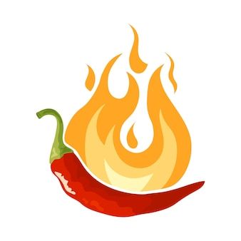 Premium Vector | Hot and spicy icon. vector red hot chilli that feels hot like a fire Chilli Spice, Spicy Pizza, Spiced Vegetables, Hot Chili Sauce, Hot Spices, Hot And Spicy, Chili Cook Off, Curry Spices, Spicy Chili