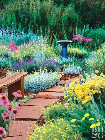 Perennial Garden Plans, Flower Garden Plans, Drought Tolerant Perennials, Garden Plan, Zone 9, Vegetable Gardens, Low Maintenance Landscaping, Magic Garden, Garden Plans