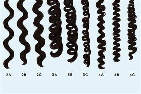 Curl Type Chart, 3b Hair Type, Types Of Curly Hair, 3c Hair Type, Hair Type Chart, Hair Chart, Hair Plopping, Curl Types, Different Types Of Curls