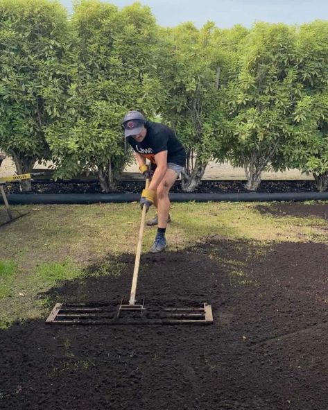 How to Level a Horribly Bumpy Lawn Without Heavy Equipment 6 Level Yard Diy, Diy Leveling Yard Backyards, Homestead Organization, Lawn Design Ideas, Leveling Yard, Lawn Renovation, Lawn Leveling, Lawn Repair, Evergreen Landscape