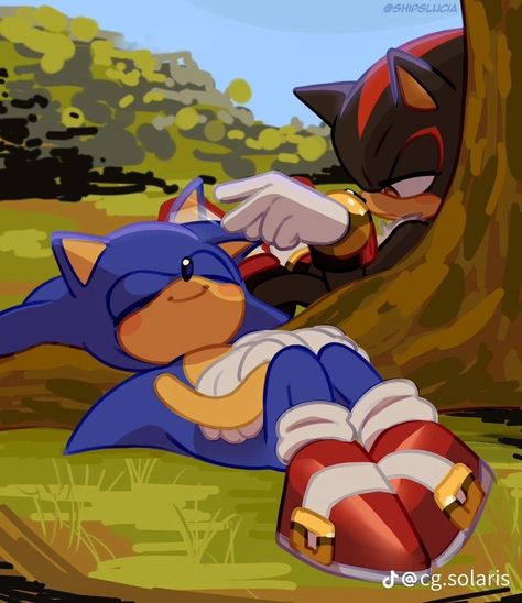 Sonic X Shadow Fanart, Sonic Shadow, Sonic The Movie, Shadow Sonic, Emoji Drawings, Hedgehog Movie, Silver The Hedgehog, Sonic And Amy, Sonic Funny