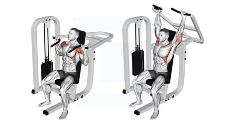 Overhead Shoulder Press, Seated Shoulder Press, Shoulder Press Workout, Shoulder Press Machine, Female Workout, Shoulder Exercises, Shoulder Press, Shoulder Workout, Workout Videos