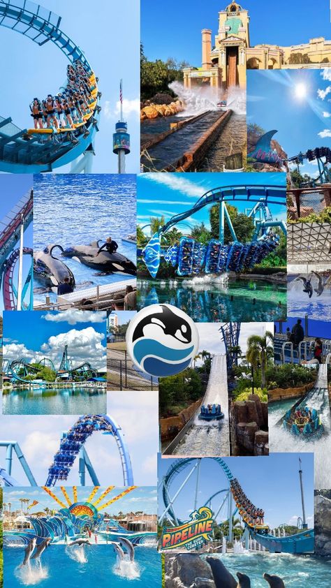 #SeaWorld Seaworld Aesthetic, Fall Break, Theme Parks, Sea World, Roller Coaster, Theme Park, Florida, Photography, Pins