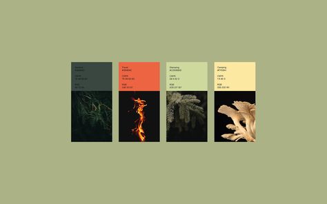 Welcome to forest :: Behance Florist Website, Museum Interior, Skincare Branding, Balance Wheel, Forest Color, Reunification, Brand Color Palette, Brand Book, Collage Illustration