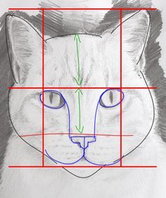 COMMENT DESSINER UN CHAT FACILEMENT : TUTORIEL VIDEO ( EPISODE 3 ) Draw A Cat, Regnul Animal, Wallpaper Retro, Cat Portrait, Pencil Portrait, Cat Portraits, Drawing Lessons, Realistic Drawings, Cat Painting